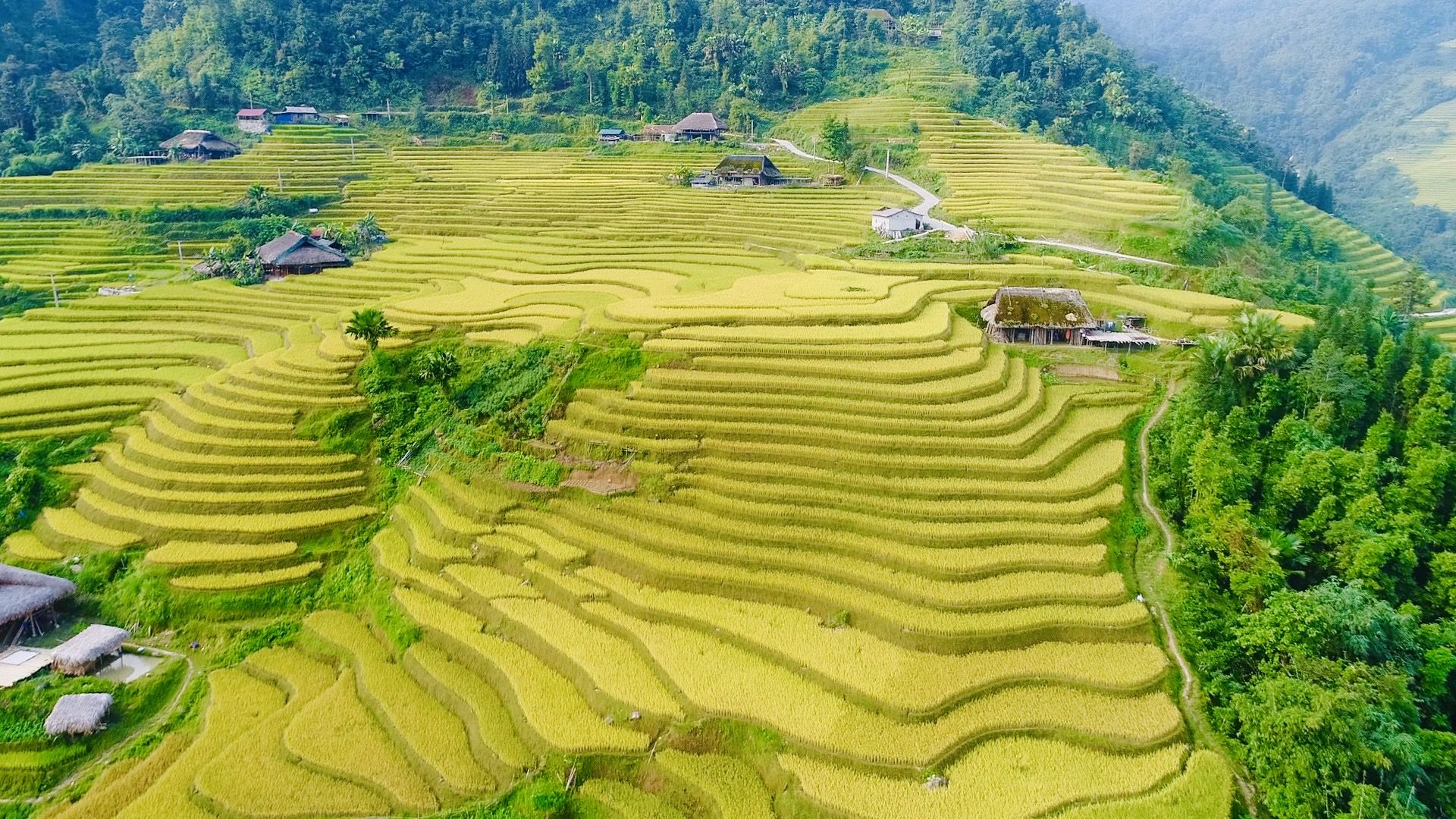 Bản Xà Phìn có gì đẹp mà khiến dân mê xê dịch say lòng?