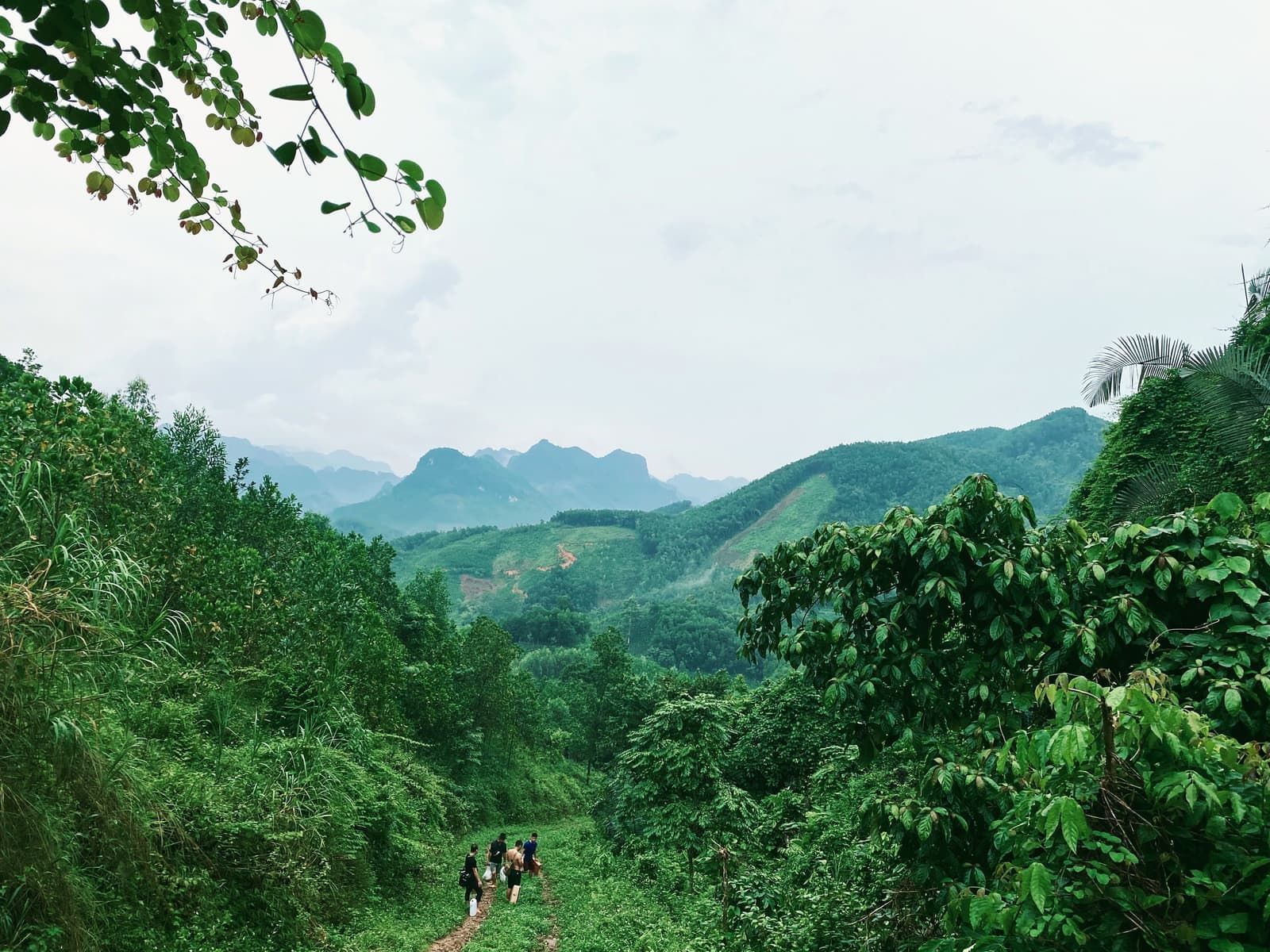Nhóm người đi bộ trên đường mòn đất giữa thảm rừng xanh, phía xa là dãy núi nhấp nhô dưới bầu trời nhiều mây