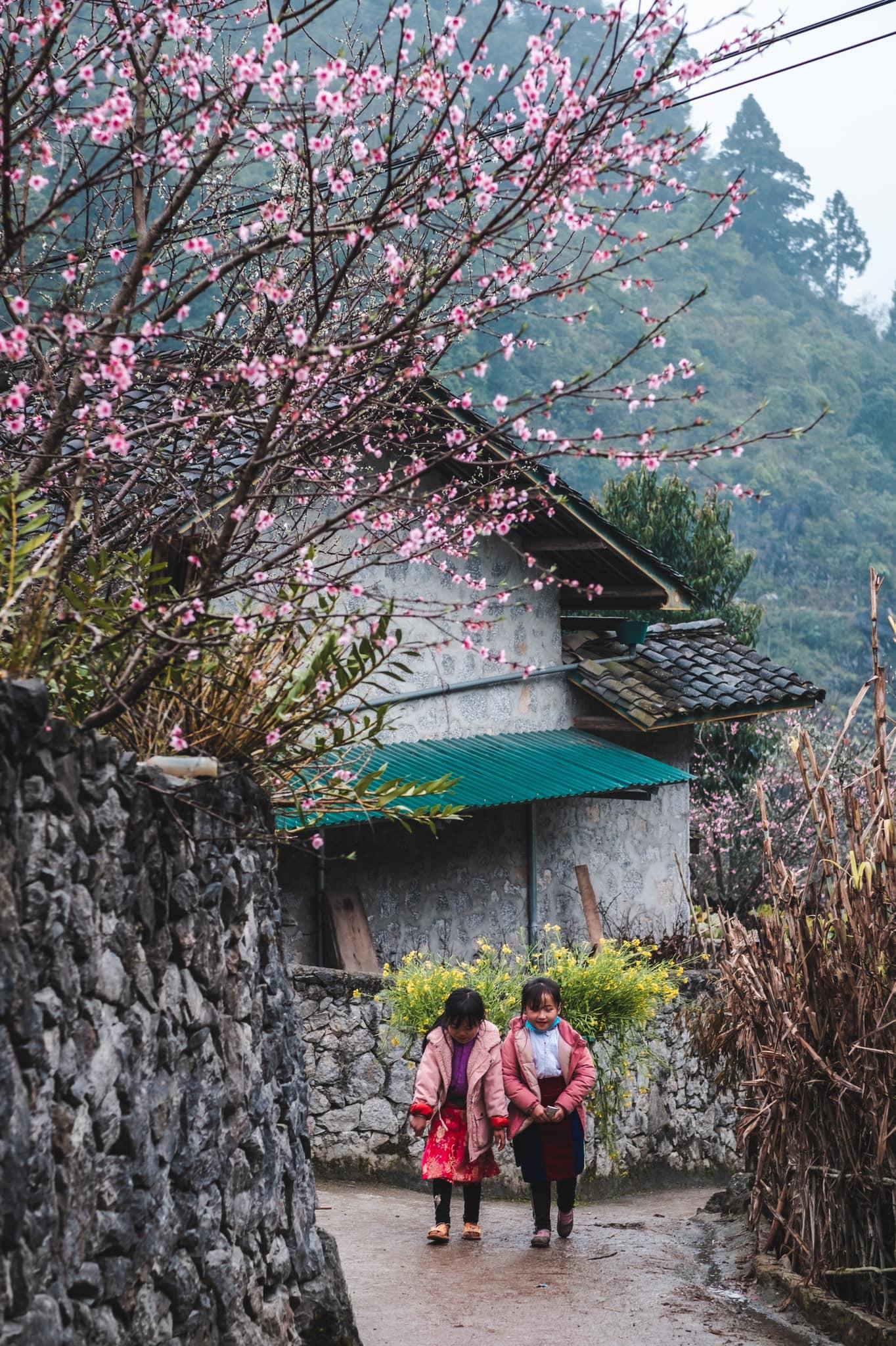 4 Khu nhà cổ ở Hà Giang có gì đặc biệt mà ai cũng muốn ghé thăm một lần?