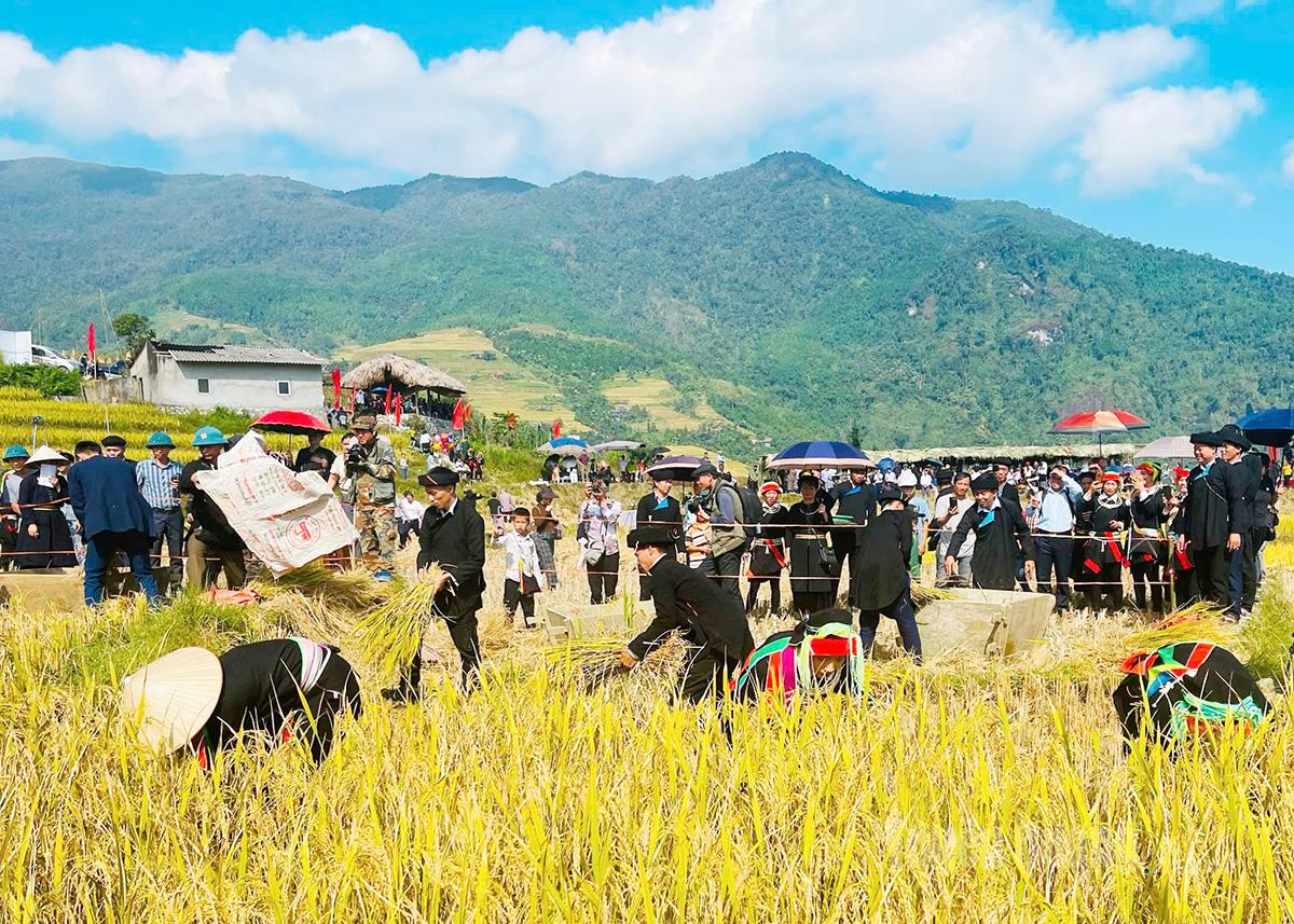 Bản Xà Phìn có gì đẹp mà khiến dân mê xê dịch say lòng?