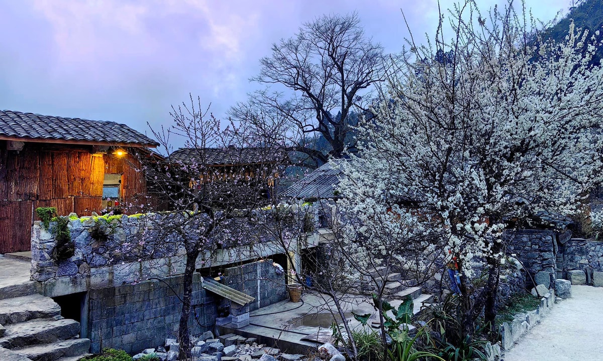 Nhà cổ Lao Xa Hà Giang có gì đặc biệt khiến dân du lịch mê mẩn?