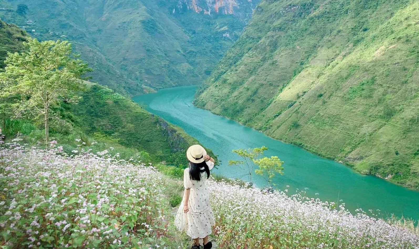 Trải nghiệm du lịch Hà Giang có gì đặc biệt khiến ai cũng muốn quay lại?