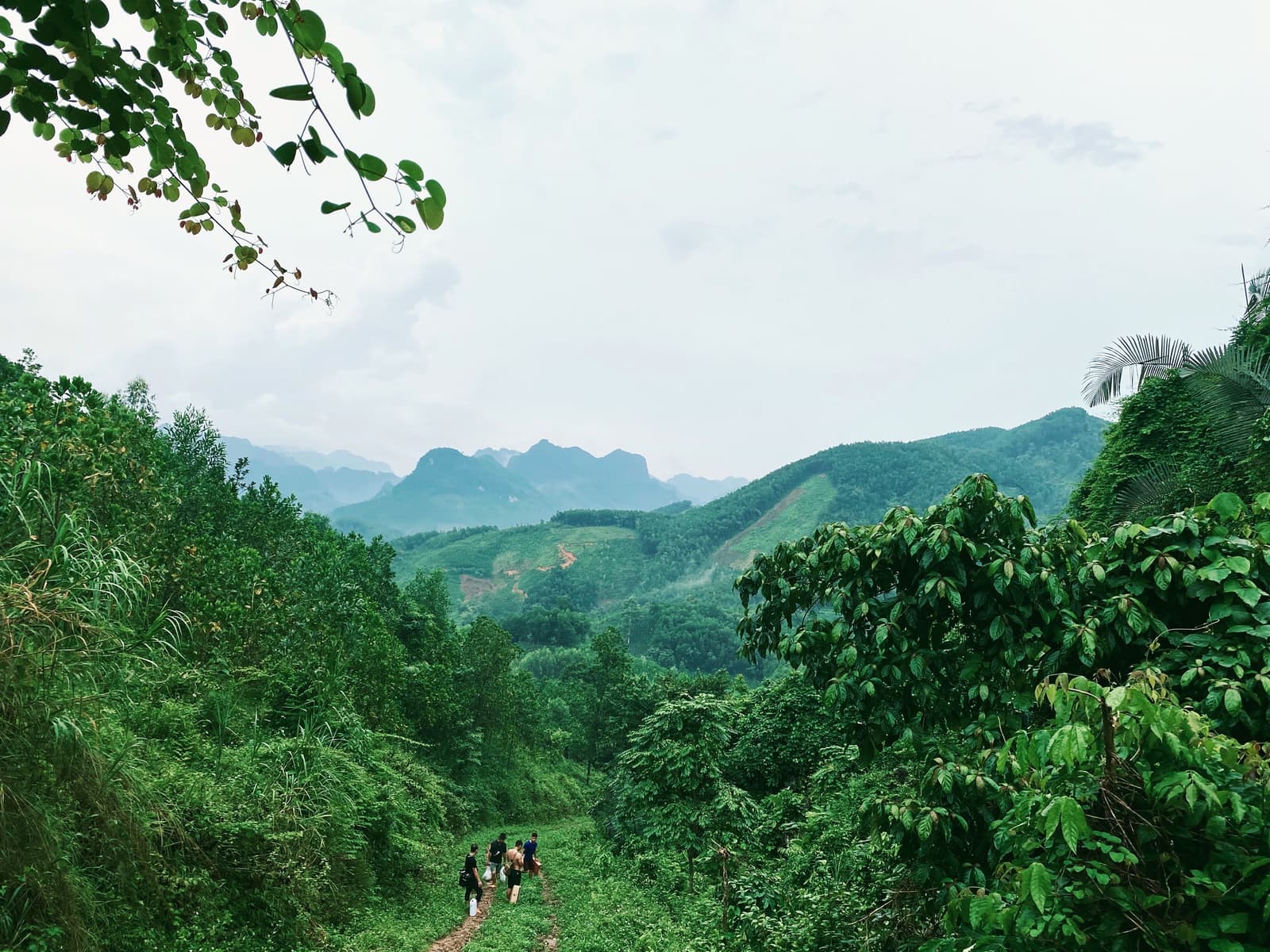 Nhóm người đi bộ trên đường mòn đất giữa thảm rừng xanh, phía xa là dãy núi nhấp nhô dưới bầu trời nhiều mây