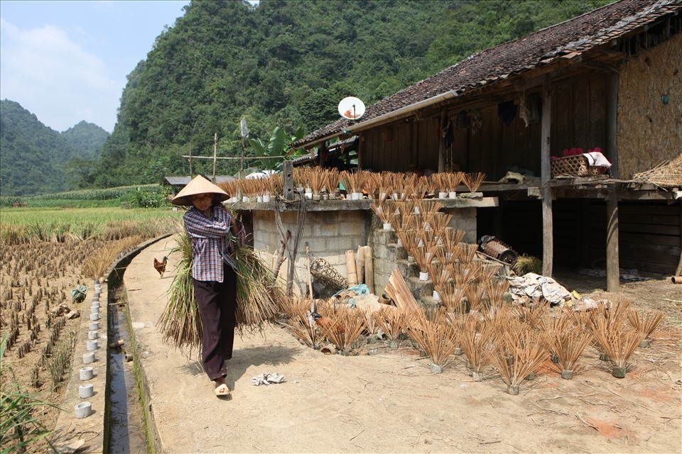 Làng hương Phja Thắp Cao Bằng: nguyên liệu và nhịp nghề Nùng An