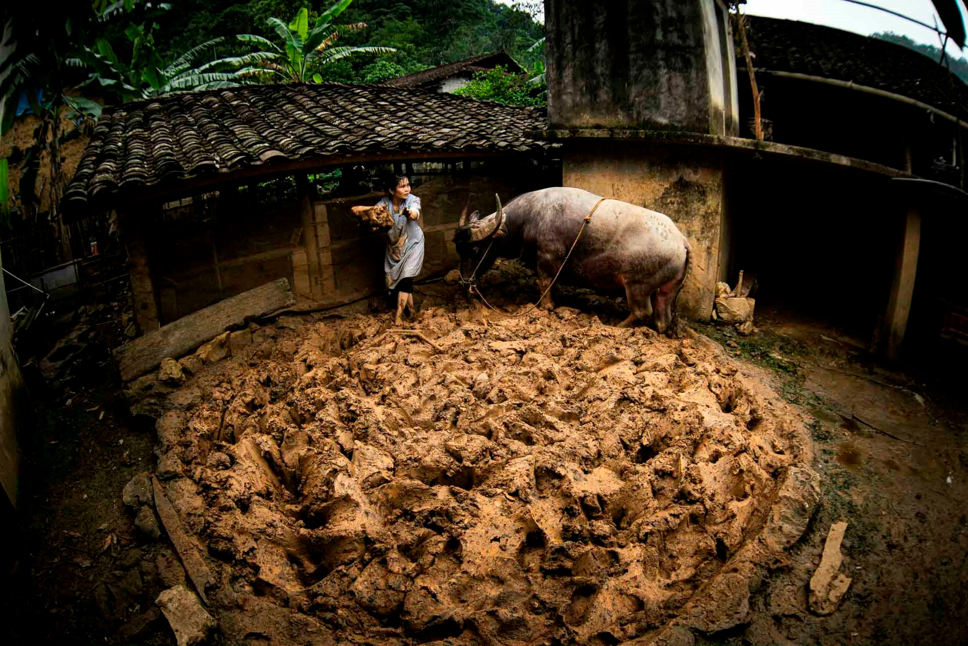 Làng ngói Lũng Rì Cao Bằng: đất sét thành ngói âm dương