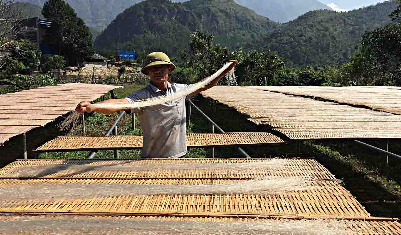 Nghề làm miến dong Phja Đén: từ tinh bột đến sợi miến