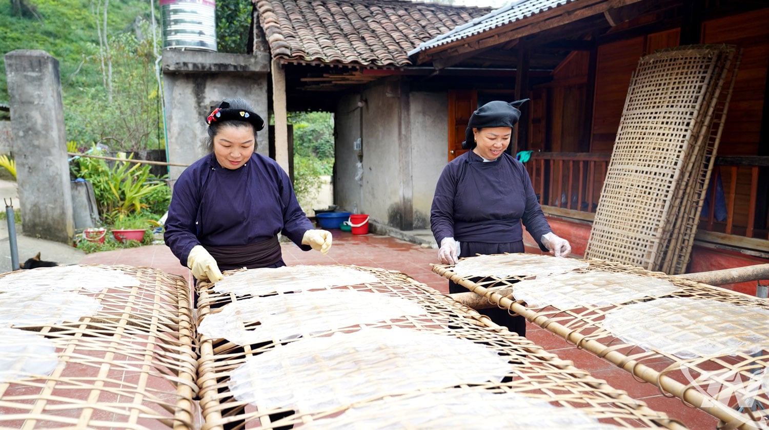 Nghề làm miến dong Phja Đén: từ tinh bột đến sợi miến