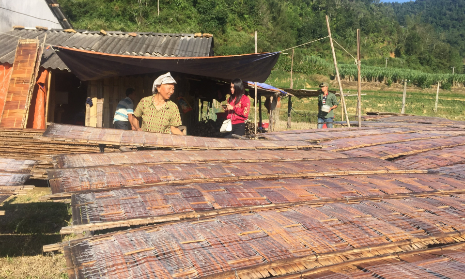 Nghề làm miến dong Phja Đén: từ tinh bột đến sợi miến